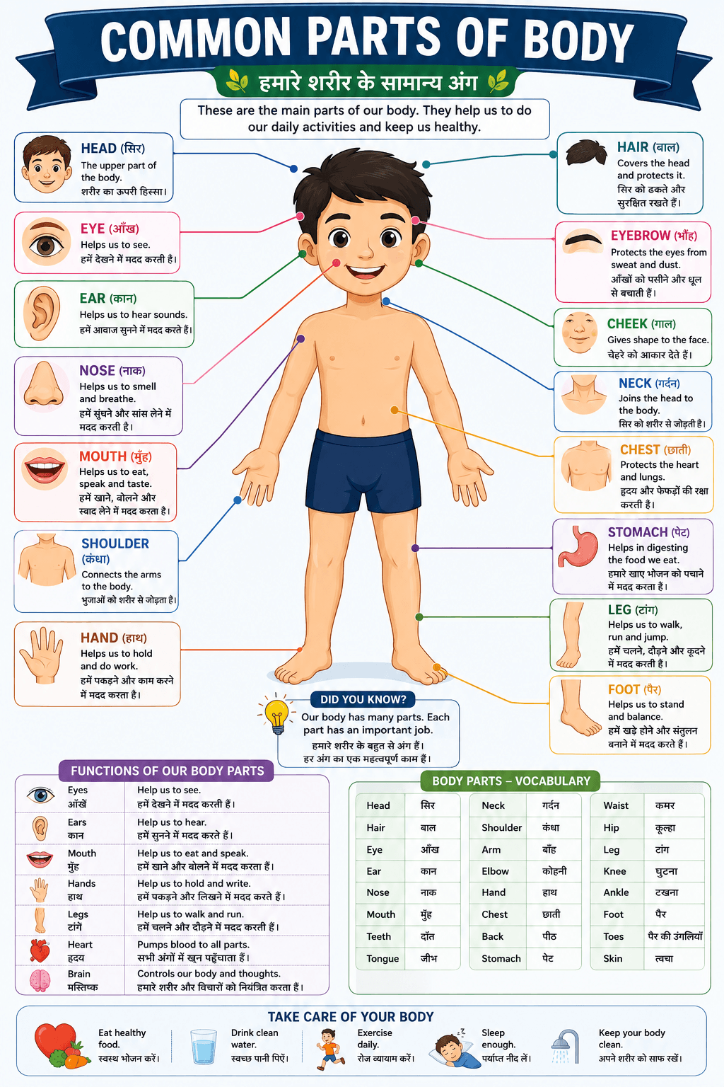 Parts of Body